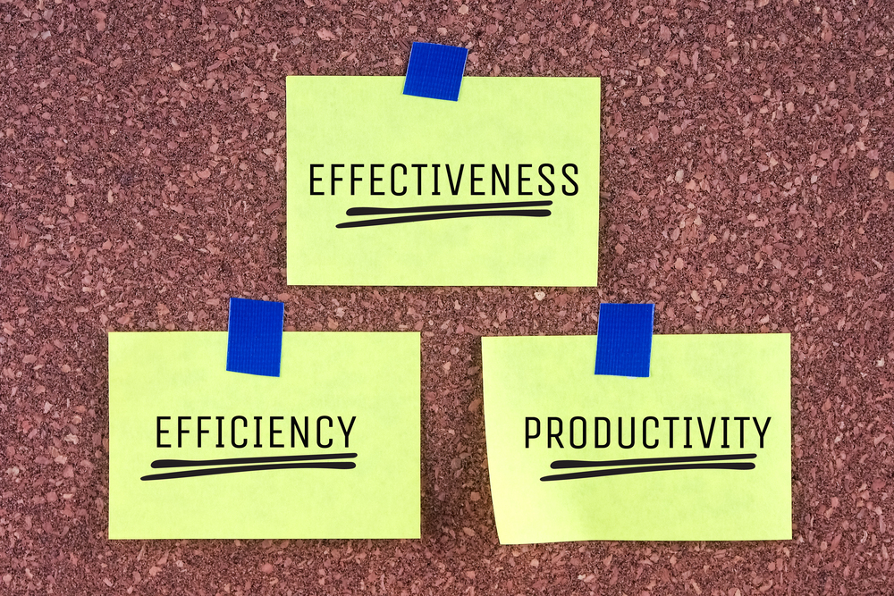 MBO Praktijkcursus - Persoonlijke Effectiviteit en Communicatie